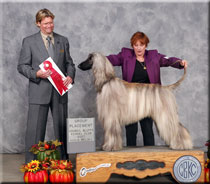 Best of Breed Group 2
