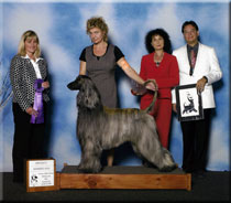 Winners Dog